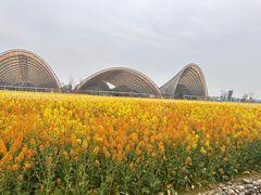 -中国天府农业博览园