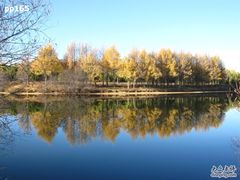 -塞罕坝国家级自然保护区