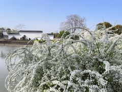 -嬉乐湾休闲旅游区