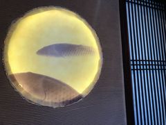 -千代武日本料理(爱建店)