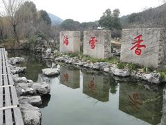 -香雪海