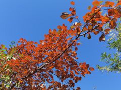 -北京西山国家森林公园