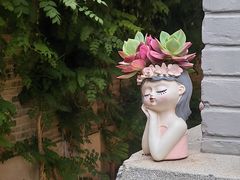 -庐灶江南·江南菜·四合院Bistro(东直门·华侨夜泊君亭店)