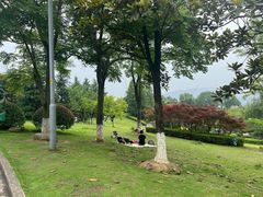 -铁山坪森林公园