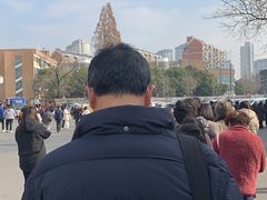 -龙华素斋(龙华路店)