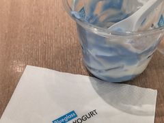 -Blueglass酸奶(华贸购物中心店)