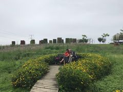 -紫颐香薰山谷景区