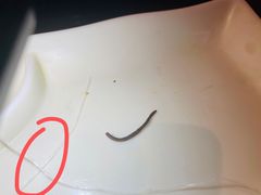 -炙韩料理·部队锅专门店