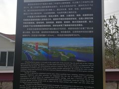 -春花秋色城市公园