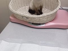 -纳吉亚猫专科动物医院博雅分院