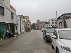 -金砂公园