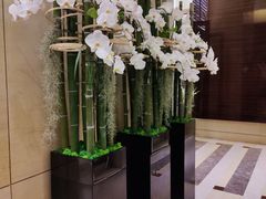 -北京四季酒店