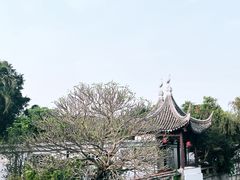 -南沙蒲洲花园