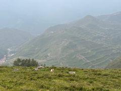 -灵山