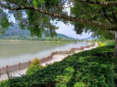 -风云岭森林公园