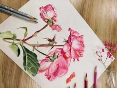 -八哥美术·成人美术画室(总校区)
