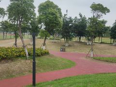 -春花秋色城市公园