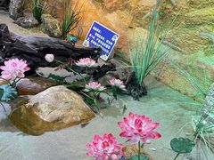 -北海海底世界