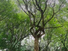 -青城山