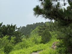 -北京十三陵国家森林公园蟒山景区