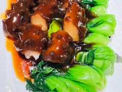 素海参扒菜心-功德林(南京西路店)