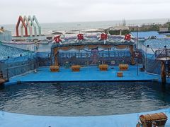 -海合安青岛极地海洋公园