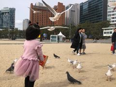 -海云台海滩