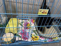-格蕾宠物医院24H·猫科·肿瘤科·骨科中心(福州总院)