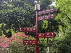 -岳麓山风景名胜区