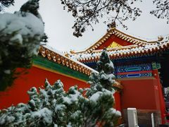 -故宫博物院(故宫)
