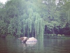 -西湖天地