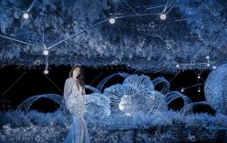 点击看大图 -三色锦婚礼定制