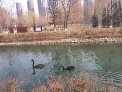 -长白岛森林公园