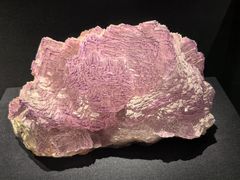 -山东博物馆