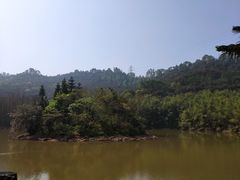 -滴水岩森林公园