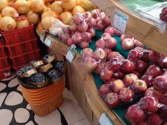 -百果园PAGODA(应元路店)