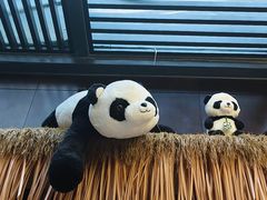 -了凡国风主题茶馆·咖啡(武侯祠锦里店)