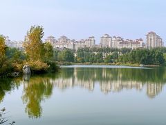 -马家湾湿地公园
