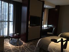 -常州环球恐龙城维景国际大酒店