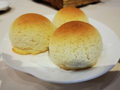 雪顶雄峰-利苑酒家(金宝店)