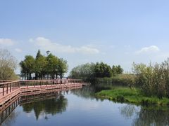 -贡湖湾湿地公园