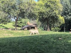 -北京野生动物园