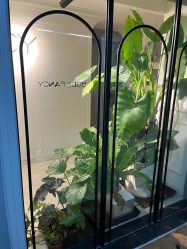 -Fancy梵汐·轻奢量肤定制