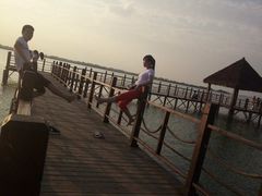 -瑶湖郊野森林公园