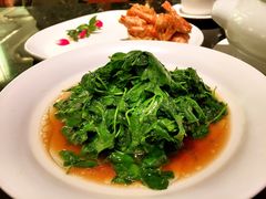 -蝶园·装修中(BFC外滩金融中心店)