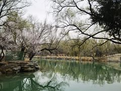 -颐和园