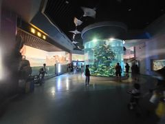 -福州罗源湾海洋世界旅游区