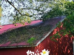 -南山植物园