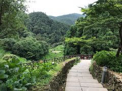 -鼓岭旅游度假区