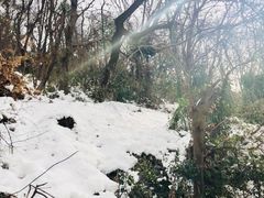 -紫金山天文台
